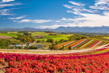 Best Places to See Fall Colors in Hokkaido 2025 – Peak Season & Travel Guide from New Chitose Airport