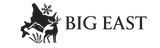 BIG EAST LOGO