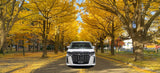 Best family road trip in Hokkaido with a luxury Toyota Alphard — private van rental with pickup at New Chitose Airport or Sapporo, perfect for travel to Niseko