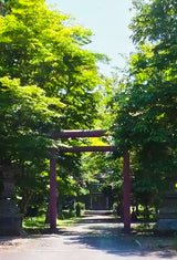 Hidden gem next to a private villa in Hokkaido – a small shrine surrounded by cherry blossoms in spring, one of the must see things to do