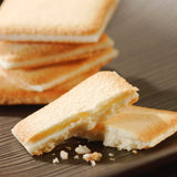 Close-up of Shiroi Koibito cookie revealing its crisp buttery layers and smooth white chocolate filling a classic Hokkaido treat