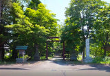 Entrance to a peaceful Spring Hokkaido Villa beside a traditional shrine and sacred power spot, surrounded by nature and ideal for cherry blossom viewing and family travel near Furano and Sapporo